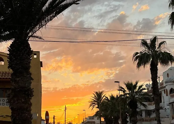 Solymar تورّيفيِخا